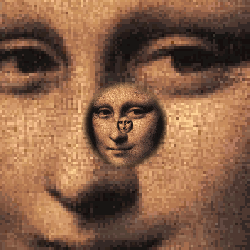 Endless Face Zoom | Festisite Endless Face Zoom | Festisite