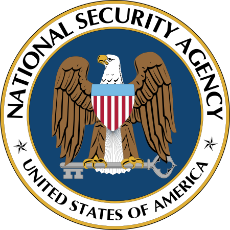 Erudito Extranjero desinfectante NSA Logo | Festisite